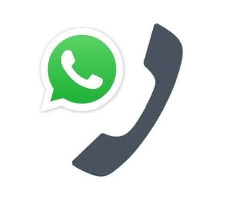 Contact Numbers